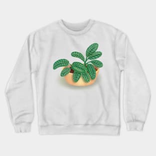 House Plant Potted Tropical Leaf Illustration Crewneck Sweatshirt